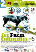 Puces culturelles de Sélestat
