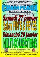 Salon du Pinâ€™s & FÃ¨ve Ã  CHAMPEAUX (77) le 27/01/2024