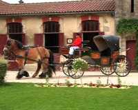 BROCANTE EQUESTRE