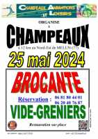 BROCANTE et VIDE-GRENIERS ? CHAMPEAUX (77), le 25 mai 2024