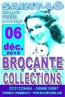 ST-LÔ - 06 déc.15 - brocante couverte au foirail