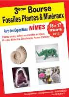 3ème Bourse Minéraux & Fossiles - Lithothérapie de Nimes