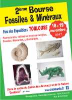 2ème Bourse Minéraux et Fossiles de Toulouse