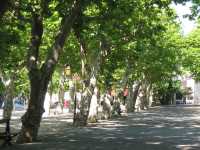 Vide grenier