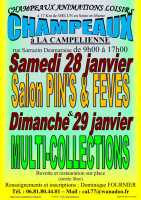 Salon Multi-Collections à CHAMPEAUX (77) le 29/01/2023