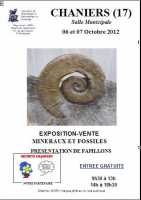 EXPOSITION VENTE MINERAUX ET FOSSILES - Présentation de Papillons