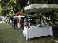 brocante professionnelle