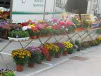 Vide jardin, marché, marché de l'artisanat
