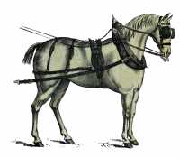 FOIRE CHEVAL-BROCANTE