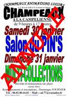 Salon Multi-Collections à CHAMPEAUX (77) le 31/01/2021
