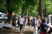 Vide-greniers sous les ombrages