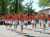 Puces des majorettes