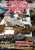 4�me Vide grenier du studio Le Regard du Cygne